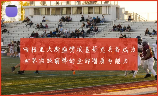 哈格里夫斯盛赞埃基蒂克具备成为世界顶级前锋的全部潜质与能力