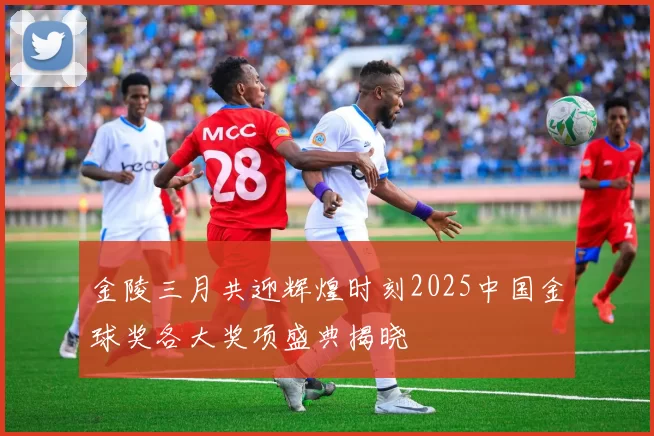 金陵三月共迎辉煌时刻2025中国金球奖各大奖项盛典揭晓