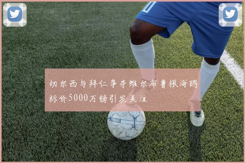 切尔西与拜仁争夺维尔布鲁根海鸥标价5000万镑引发关注